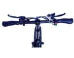 Bicicleta Eléctrica SkateFlash Folding E-Bike Fly XL 5