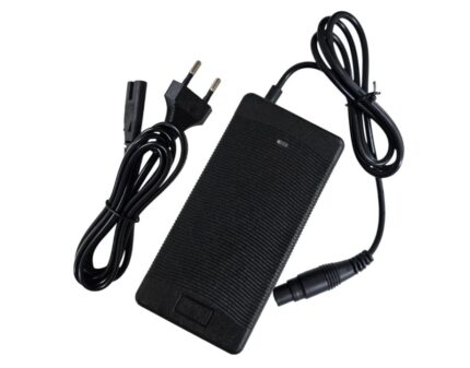 Cargador 48v (salida 53,6v) 2A conector Mi4 ProMaxPlus [Estándar] 2