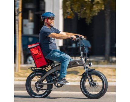 Bicicleta Eléctrica Smartgyro Ebike RHINO 2