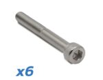 Tornillo mástil Dualtron Mini 6 uds
