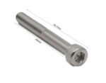 Tornillo mástil Dualtron Mini 6 uds 2