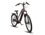ARENOX ebike URBANA Cobre 3